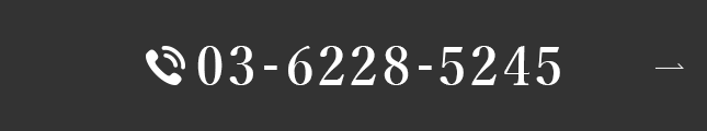 03-6228-5245